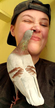 Taako tries her best to preen my nose