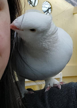 Hemlock gives me some kissies